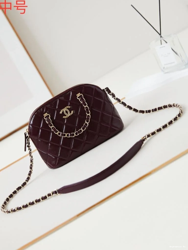 53907 Other EyeCatching Chanel Stachel Bags 0627
